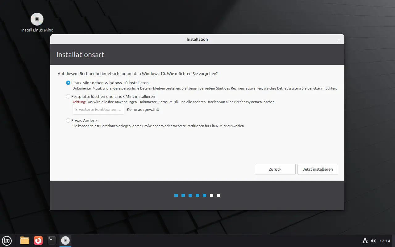 Bild: Art der Installation bestimmen: Mit Windows, ganze Festplatte, etwas anders.